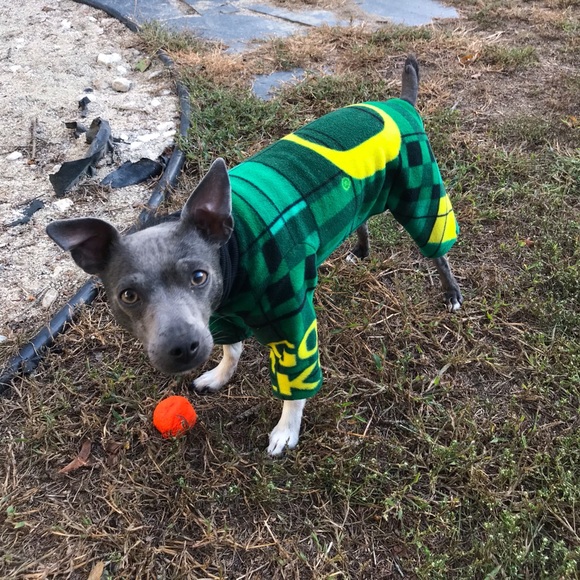 Meet your Posher, Sarah - Picture 13 of 17